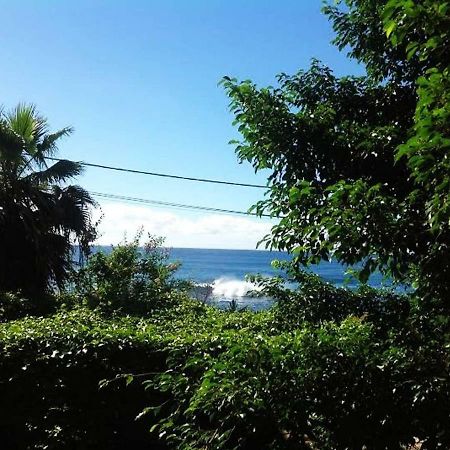 Charming 2Br Guest Suite With Ocean View Praia Eksteriør billede